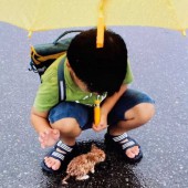 Bức ảnh cảm động sau 10 năm của cậu bé và chú mèo hoang